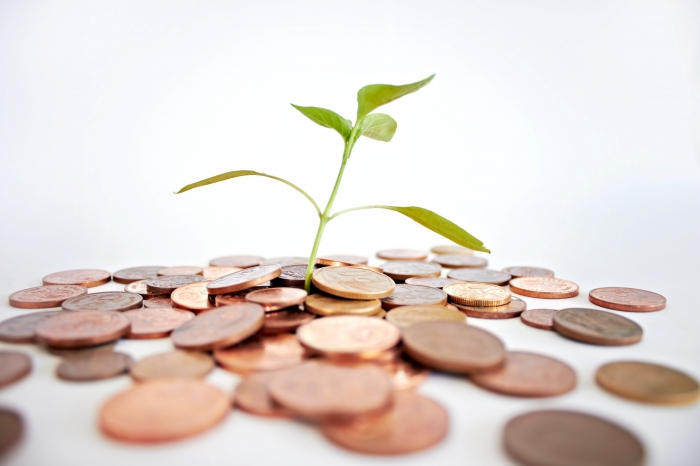 administrative command system of the economy