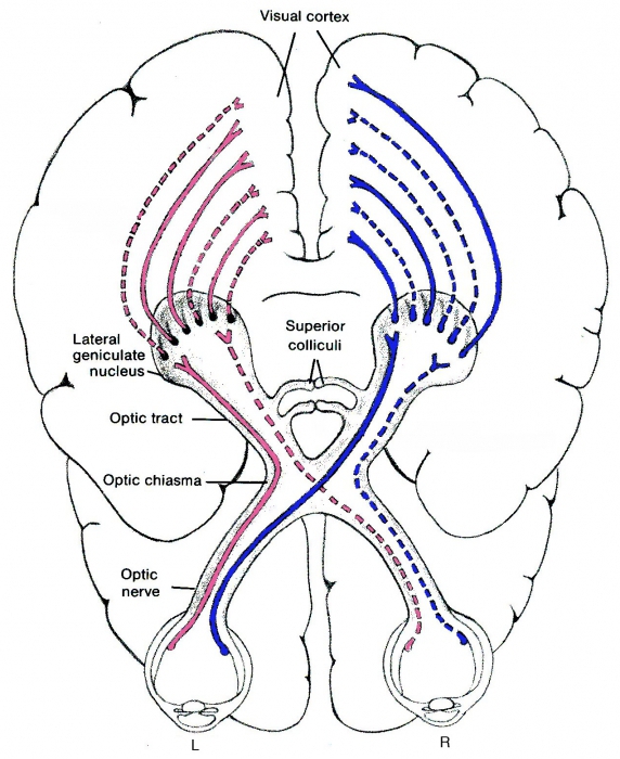 concept and types of information