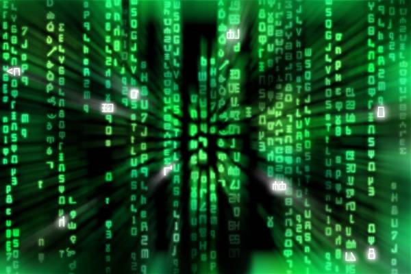 types of data and information