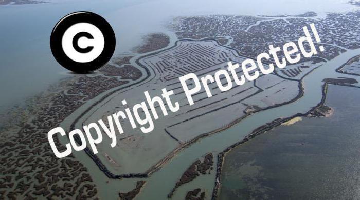 internet copyright protection