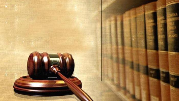 social function administrative law