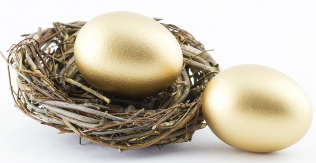 investment loan for a project