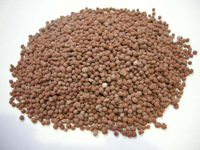 Nitrofoska fertilizer application for tomato