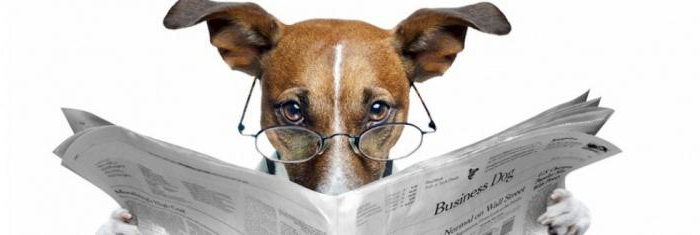 What you need to open a newspaper