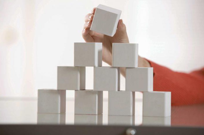 Organizational chart