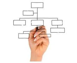 Types of Organizational Structures