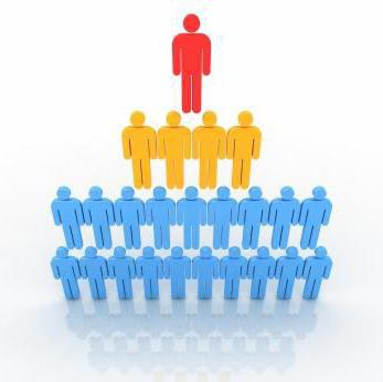 Functional and divisional organizational structures