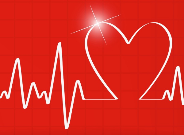 life and health insurance law