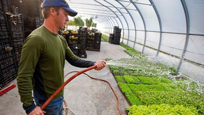 small business subsidies