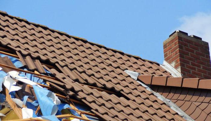 summer house insurance reviews