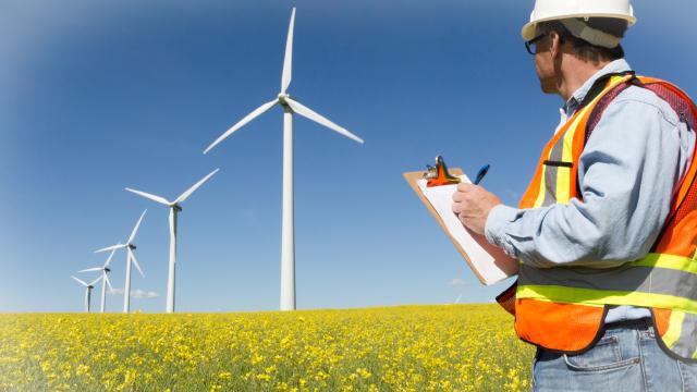 Environmental audit: concept, types