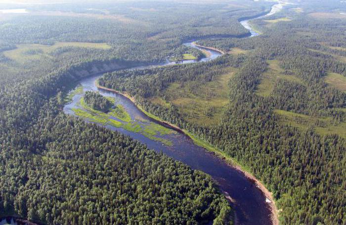 Timber industry complex