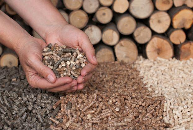 Prospects for the timber industry