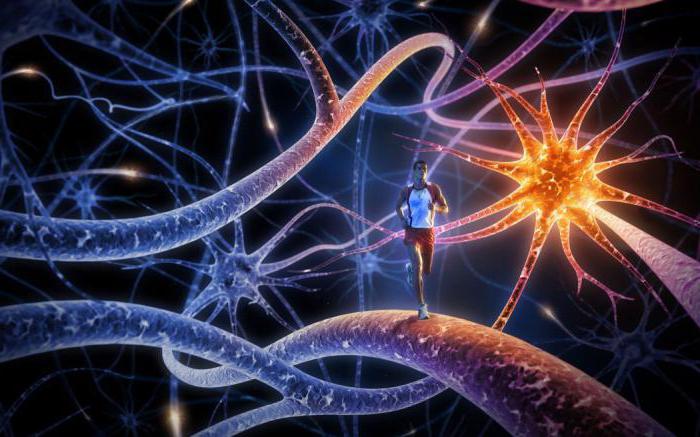 salt cave contraindications doctors reviews