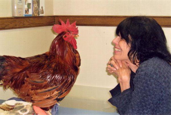 interesting creative professions