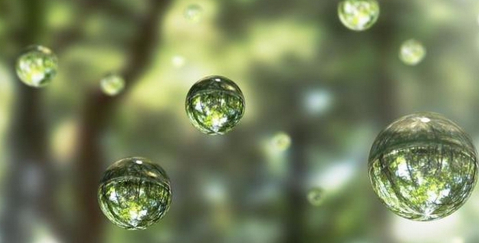 what types of natural resources