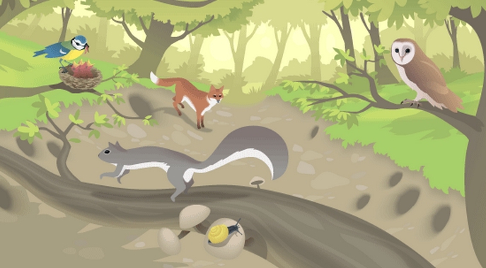 main types of natural resources