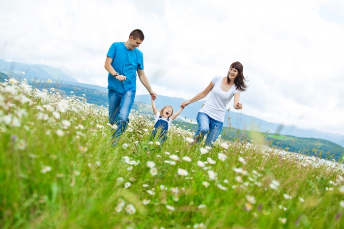 cumulative company life insurance