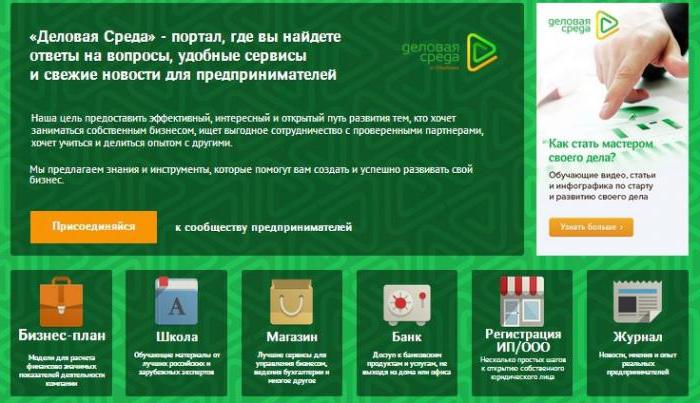 organization business environment