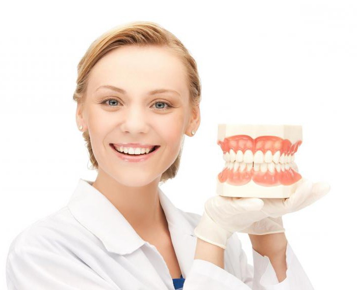 The main specialties of doctors