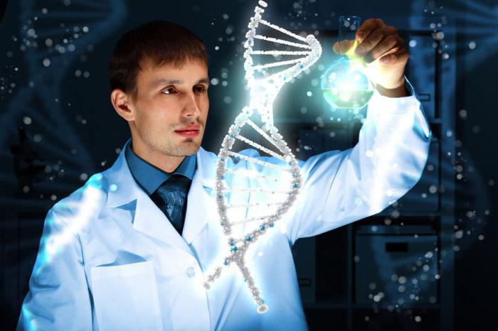 Doctors specialties: list