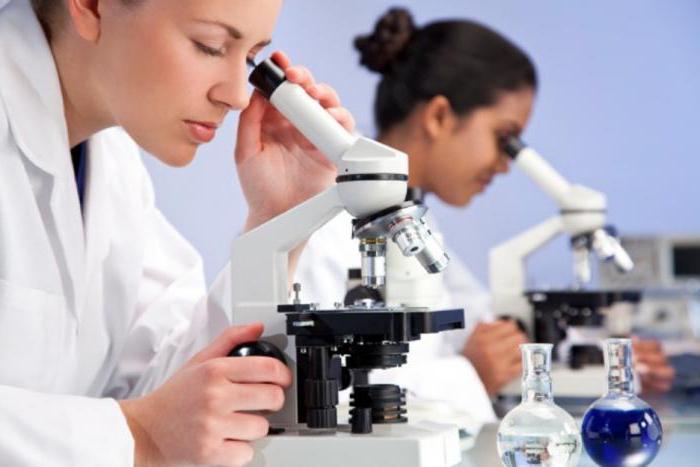 medical examination: doctors