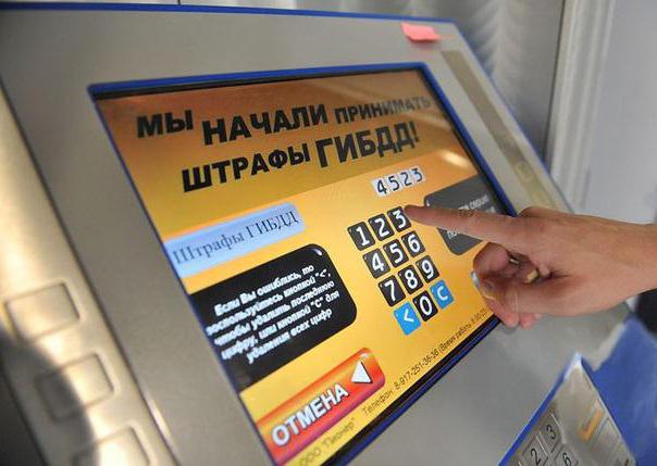 terms of voluntary payment of a fine