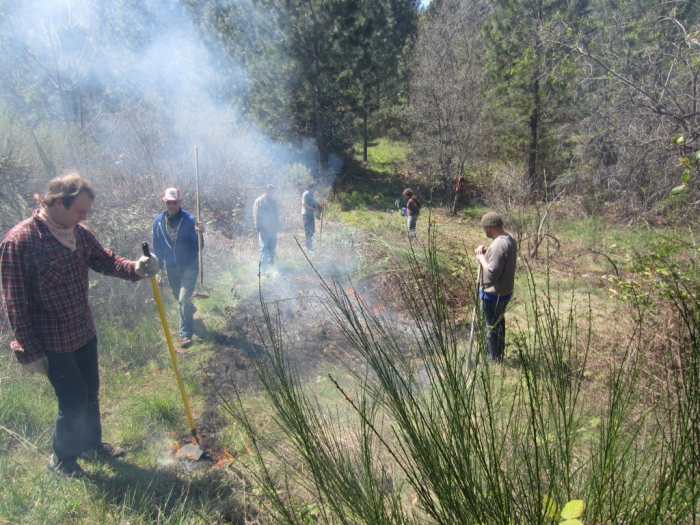 types of environmental impact assessment