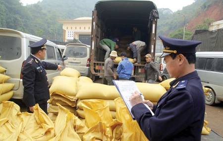 types of customs examinations