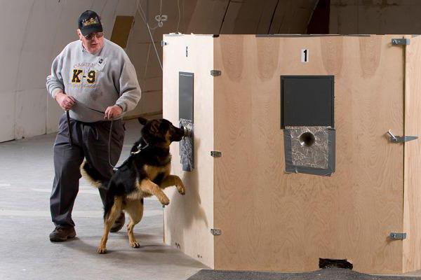 the concept of a notch and its difference from a search