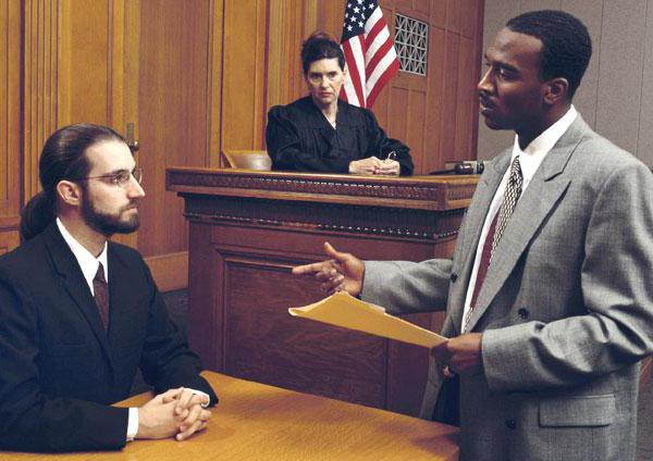 83 principles of the criminal process concept system characterization