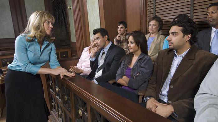 2 system of principles of the criminal process