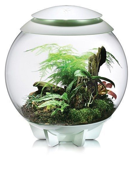 microclimate of public spaces