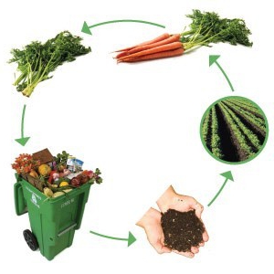 non-waste production examples