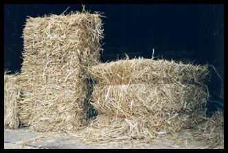 principles of non-waste production