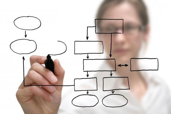 executive director duties briefly