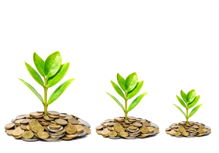 money market and monetary policy