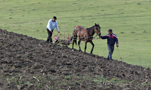 privatization of the garden