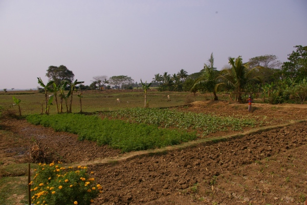 privatization of land