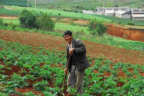 cost of garden plots