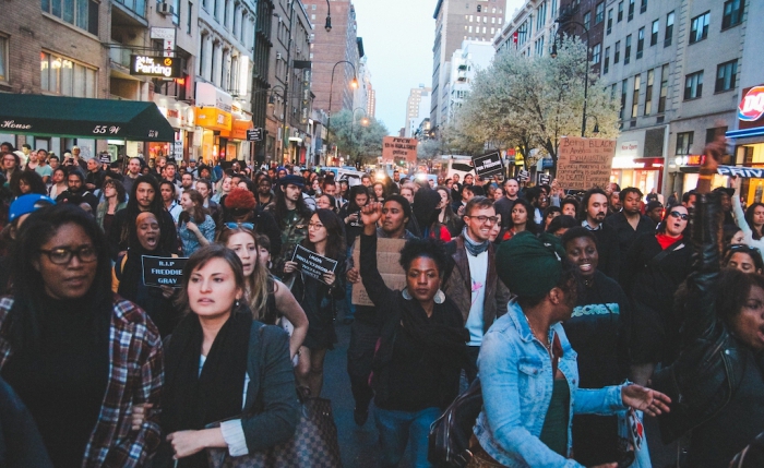 rule of law and society