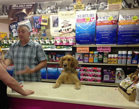 what does the cashier-operator