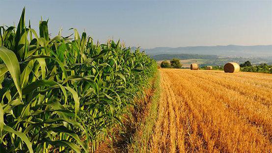 private investment in agriculture offers
