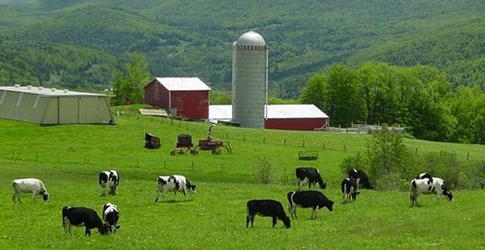 agricultural investment funds