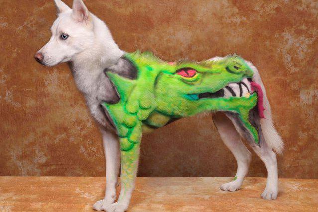 folding grooming table