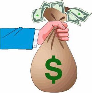 sources of financing composition and structure of investment activities