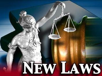 principles of lawmaking