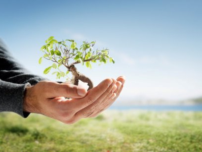 environmental safety policy