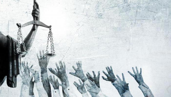 principles of constitutional proceedings