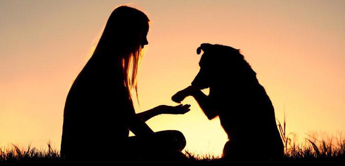 The value of man and society